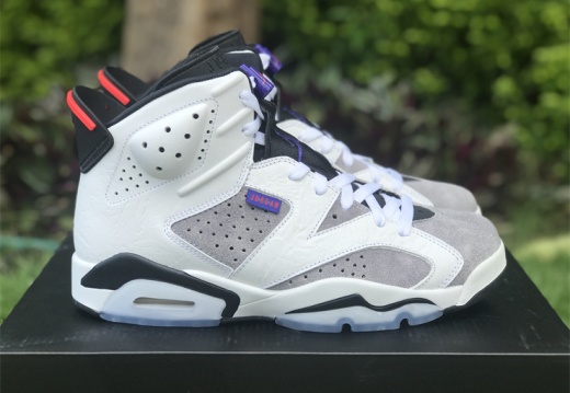AIR JORDAN 6 Flint AJ6  CL3125-100  7-13